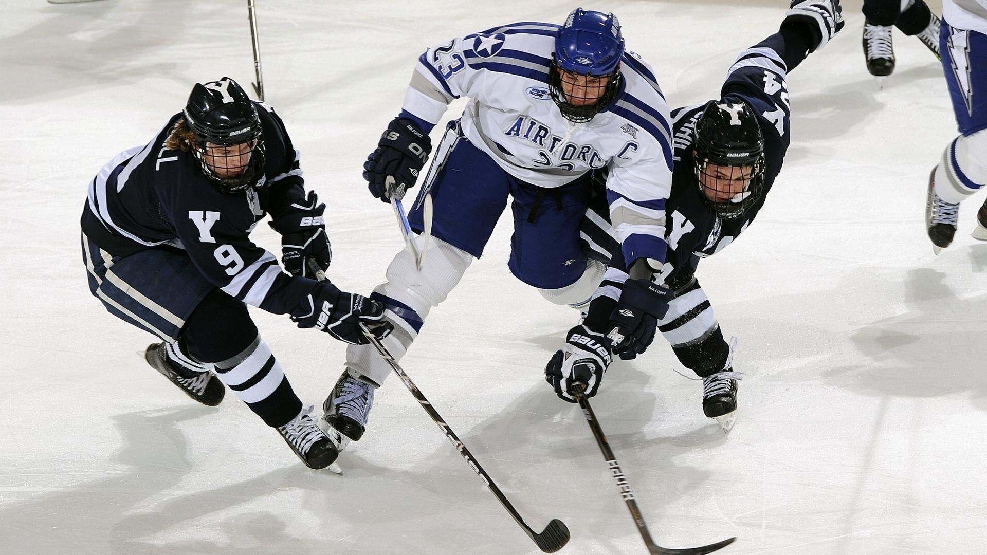 期待未来：联盟新星如何影响联盟格局？，联盟新星都有谁